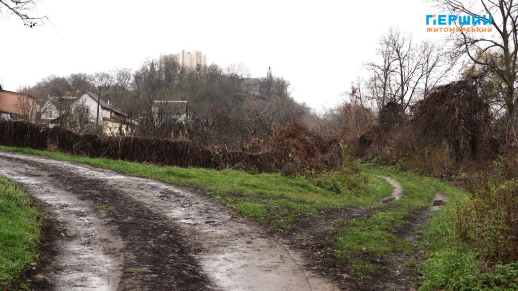 “Сіре” місто, пофарбоване осіннім дощем. ФОТО/ВІДЕО