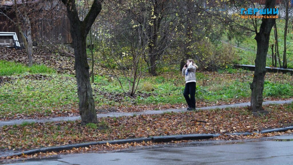Листопад у Житомирі