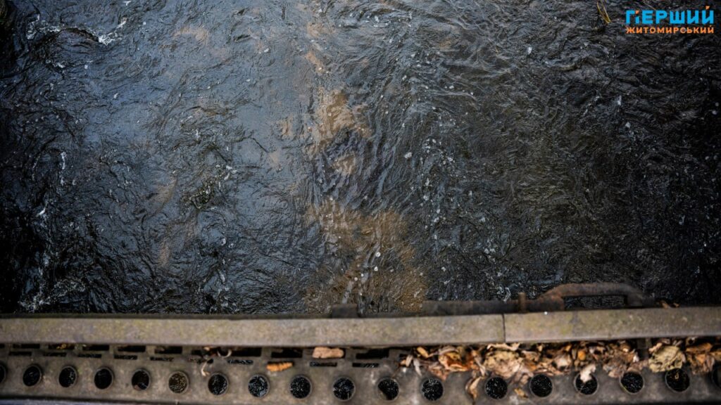 У листопадовому ритмі води та дерев: фоторепортаж із Житомира