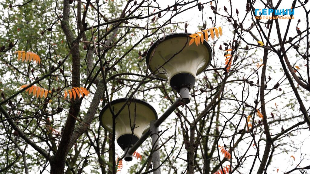 Листопад у Житомирі