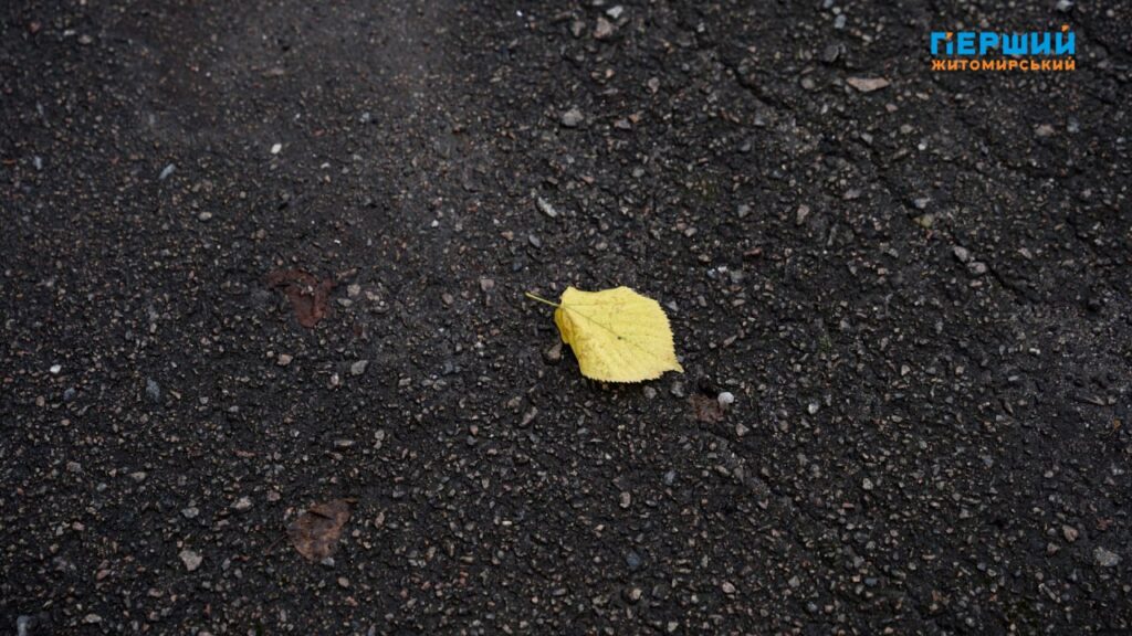 Погода на Житомирщині наприкінці листопада: потепління до +12, а...