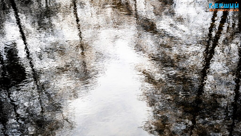 У листопадовому ритмі води та дерев: фоторепортаж із Житомира