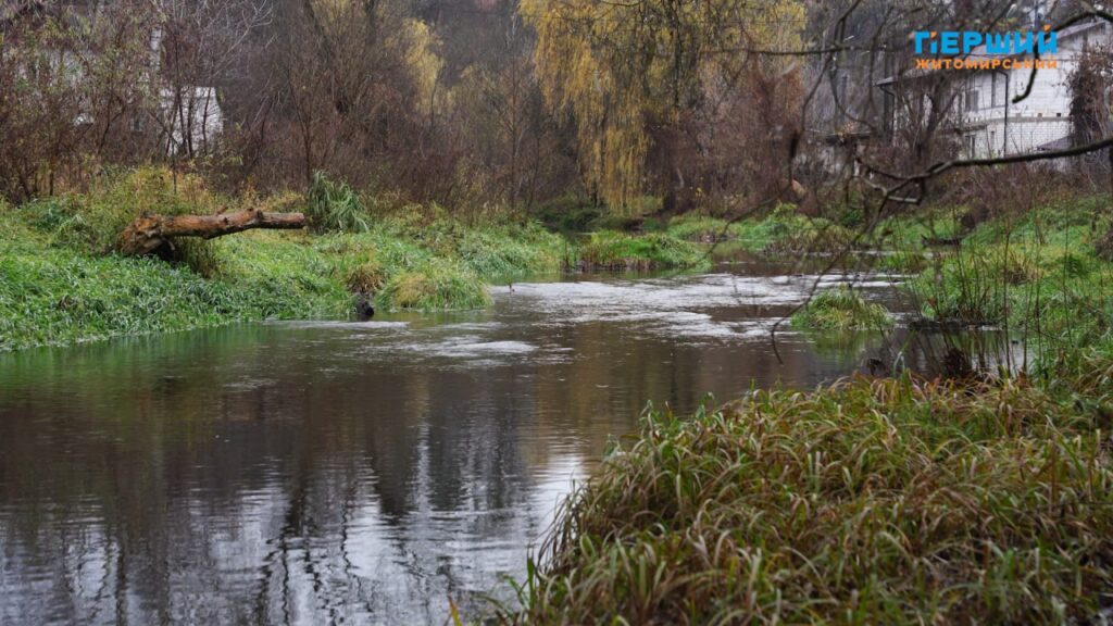 “Сіре” місто, пофарбоване осіннім дощем. ФОТО/ВІДЕО