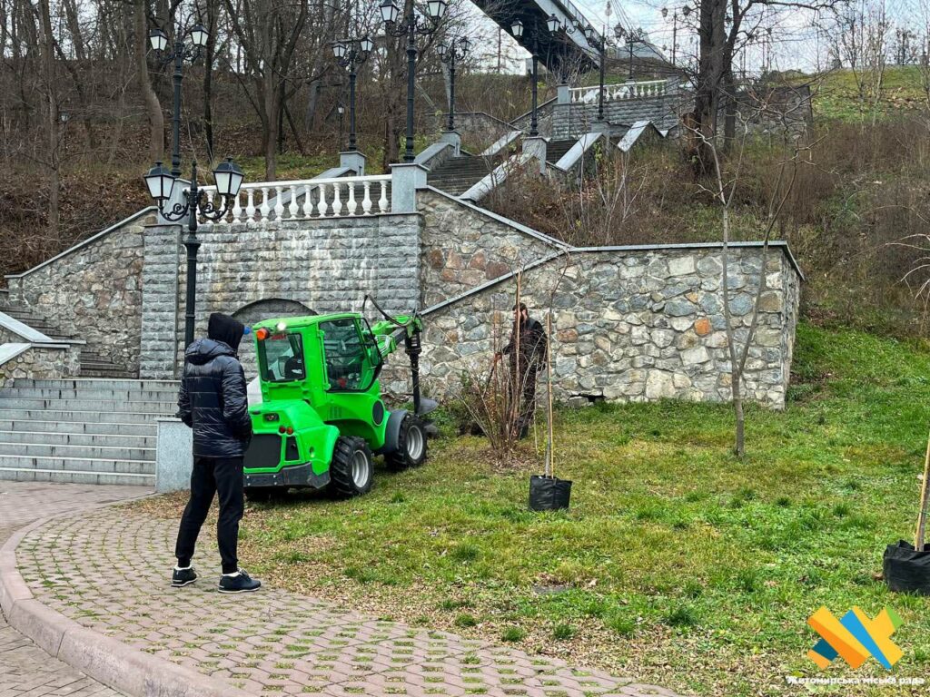 У парку Шодуара в Житомирі висаджують нові декоративні дерева