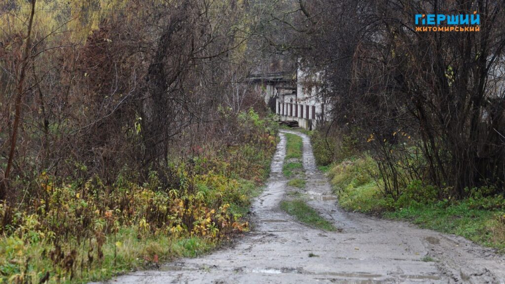 “Сіре” місто, пофарбоване осіннім дощем. ФОТО/ВІДЕО