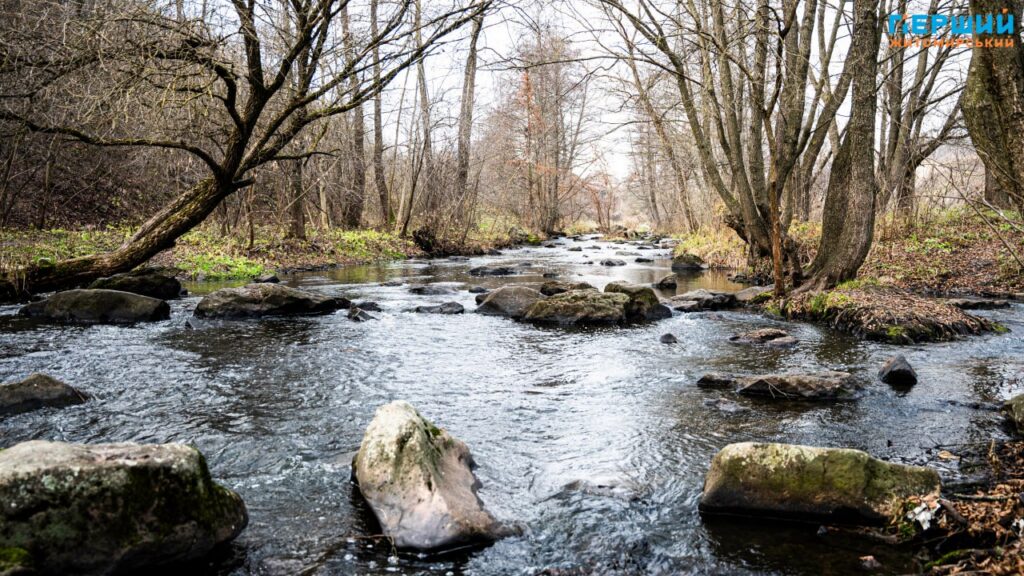 У листопадовому ритмі води та дерев: фоторепортаж із Житомира