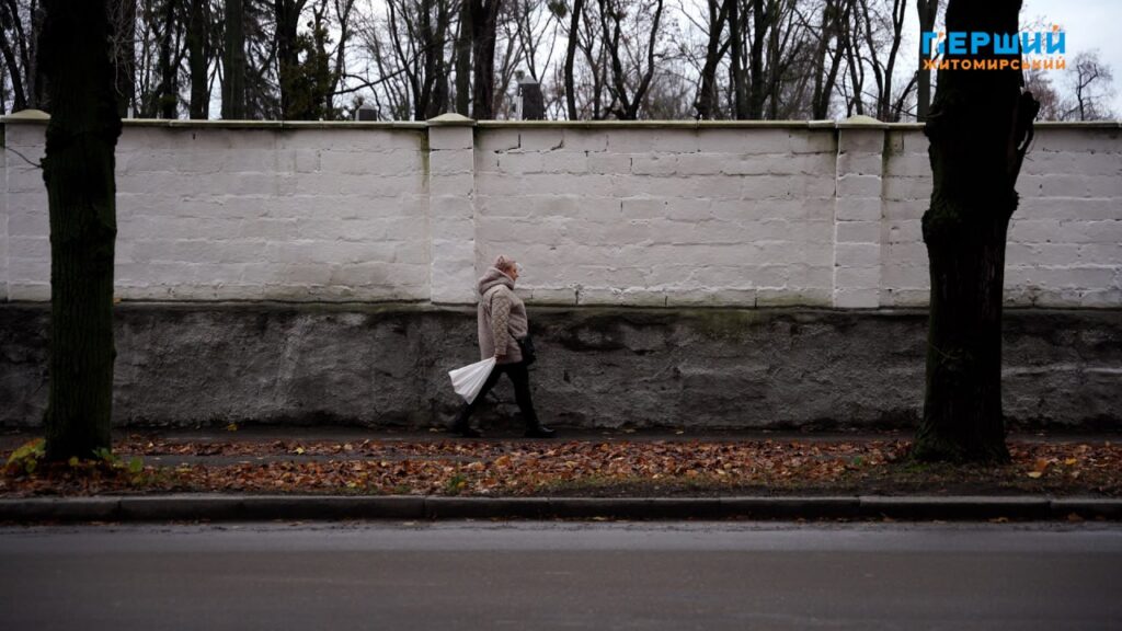 Погода на Житомирщині наприкінці листопада: потепління до +12, а...