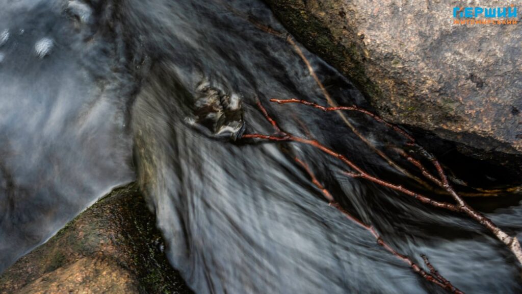 У листопадовому ритмі води та дерев: фоторепортаж із Житомира