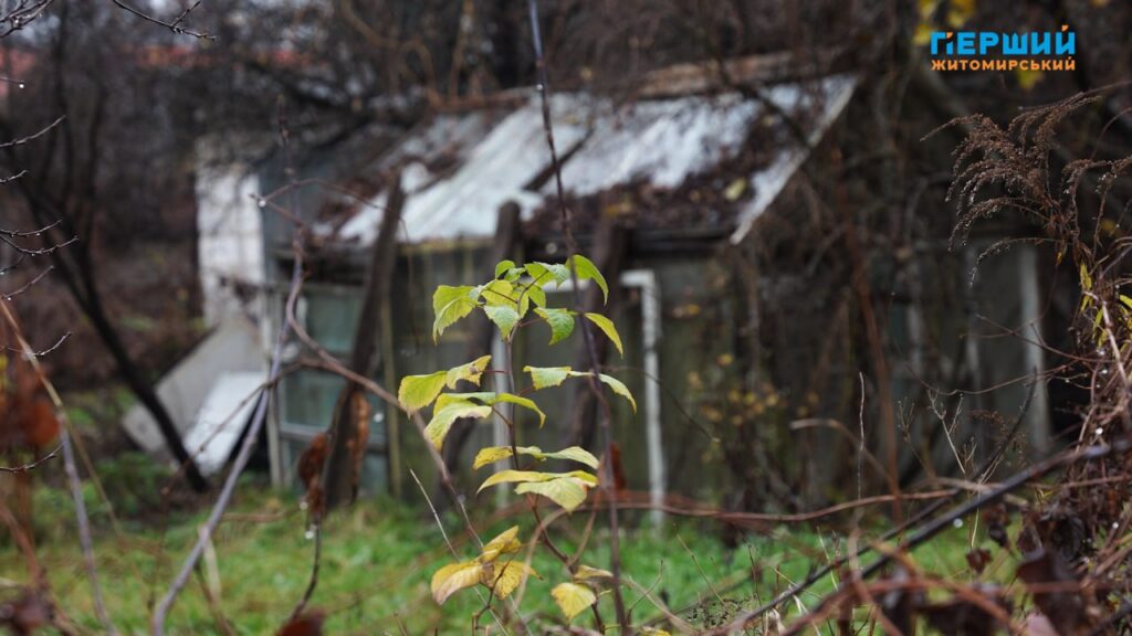 “Сіре” місто, пофарбоване осіннім дощем. ФОТО/ВІДЕО