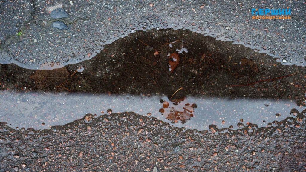 Погода на Житомирщині наприкінці листопада: потепління до +12, а...