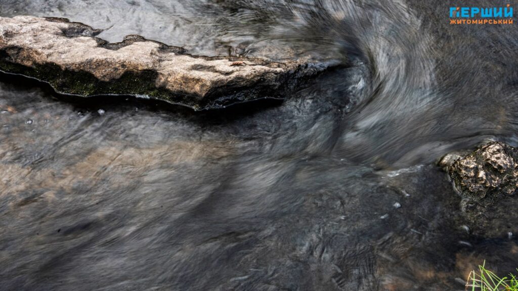 У листопадовому ритмі води та дерев: фоторепортаж із Житомира