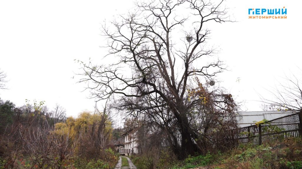 “Сіре” місто, пофарбоване осіннім дощем. ФОТО/ВІДЕО