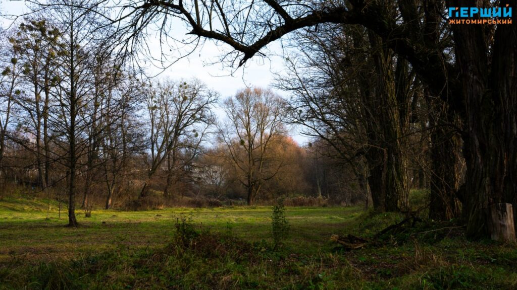 У листопадовому ритмі води та дерев: фоторепортаж із Житомира