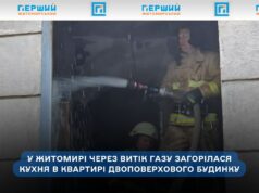 У Житомирі рятувальники загасили пожежу в квартирі двоповерхівки: загиблих і травмованих немає