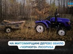 На Житомирщині чоловік загинув під час незаконної вирубки лісу