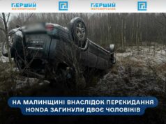 На Малинщині в ДТП загинули двоє чоловіків: автомобіль з’їхав у кювет та перекинувся