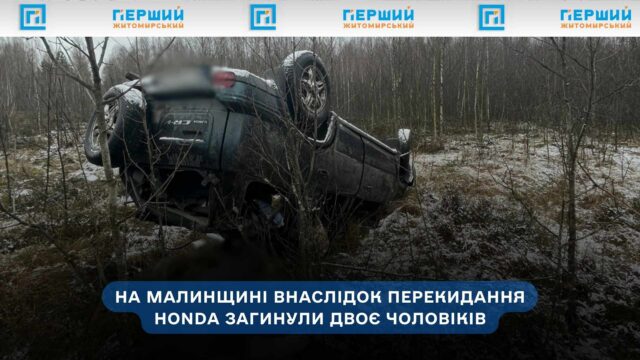 На Малинщині в ДТП загинули двоє чоловіків: автомобіль з’їхав...