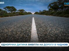 Однорічна дитина вибігла на дорогу в Чуднові — відео потрапило в мережу, поліція відреагувала