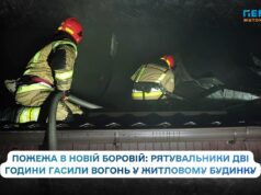 В Новій Боровій рятувальники дві години гасили будинок, щоб полум’я не перекинулось на господарські споруди