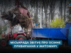 Осіннє прибирання у Житомирі: комунальні служби відзвітували про обсяги робіт