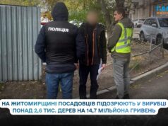На Житомирщині посадовців підозрюють у незаконній вирубці лісу на понад 14,7 мільйона гривень