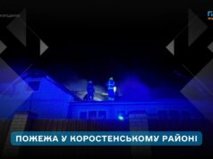 Вогонь спалив дах приватного будинку в селі Горщик