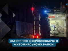 У Любарі через пожежу в зерносушарці знищено 2 тонни сої