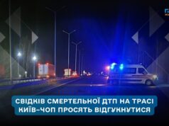 Поліція шукає свідків загибелі пішохода в ДТП у Житомирському районі