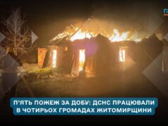 На Житомирщині рятувальники за добу ліквідували п’ять пожеж