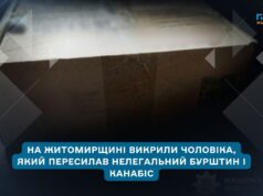 На Житомирщині викрили чоловіка, який пересилав нелегальний бурштин і канабіс