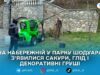 У парку Шодуара в Житомирі висаджують нові декоративні дерева