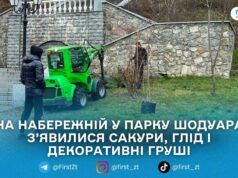 У парку Шодуара в Житомирі висаджують нові декоративні дерева