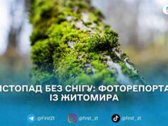 У листопадовому ритмі води та дерев: фоторепортаж із Житомира