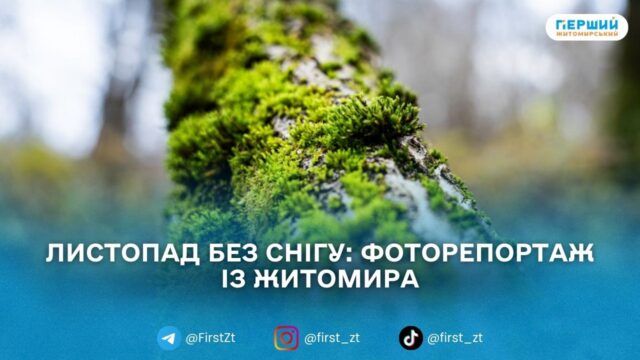 У листопадовому ритмі води та дерев: фоторепортаж із Житомира