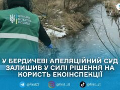 Апеляційний суд зобов’язав «Бердичівкомунсервіс» зупинити незаконні скиди стічних вод