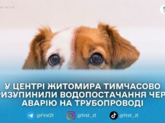 Через аварію на водогоні без води залишилися будинки на Великій Бердичівській та Театральній