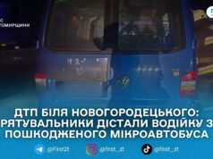 Поблизу Новогородецького рятувальники деблокували травмовану водійку з мікроавтобуса