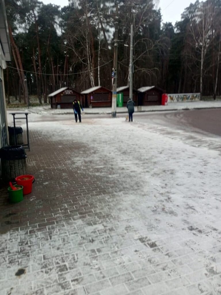 У Житомирі комунальники обробили вулиці та тротуари протиожеледною сумішшю