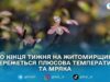 Тепло, сіро й без снігу: на Житомирщині тиждень мине з осінньою погодою