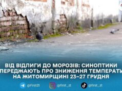 На Житомирщині прогнозують різке похолодання до –13 °C та сніг наприкінці тижня