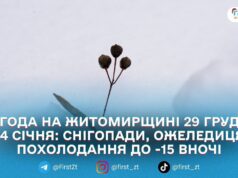 На Житомирщині утримається зимова погода: сніг, вітер і ожеледиця, а 1 січня — найсильніші морози