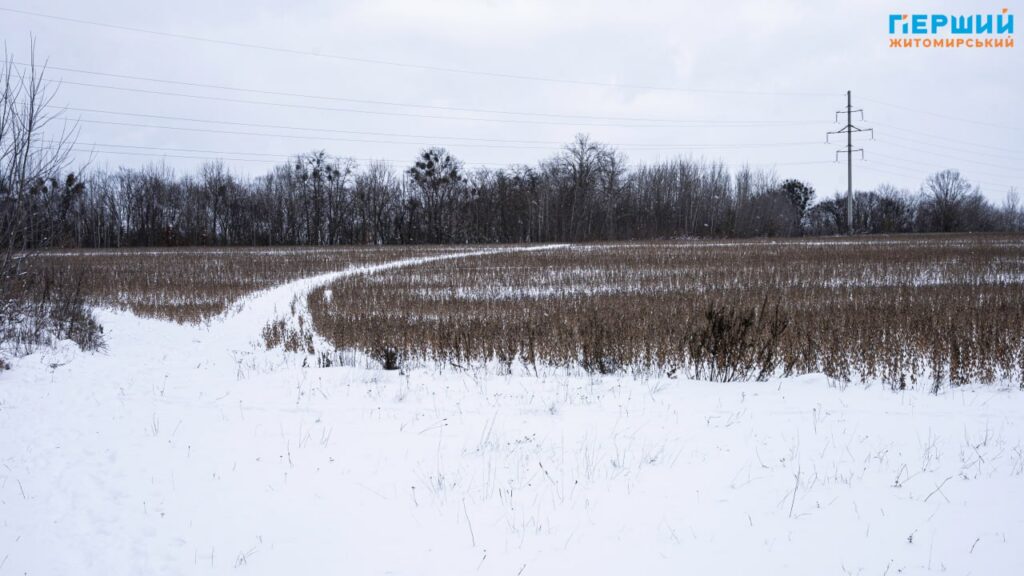зимові краєвиди