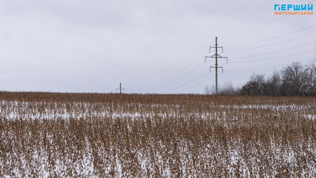 зимові краєвиди
