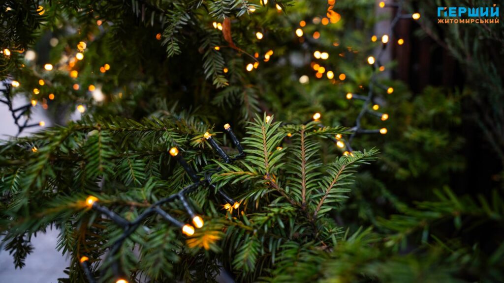 6 грудня – День Збройних сил України та День...