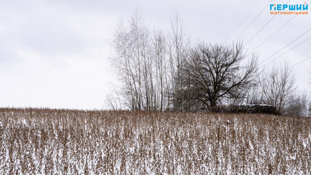зимові краєвиди
