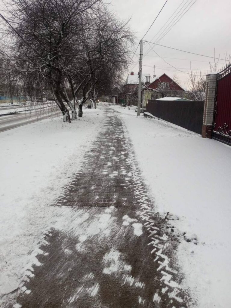 У Житомирі снігопад