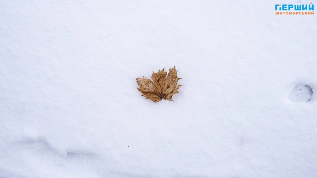 зимові краєвиди