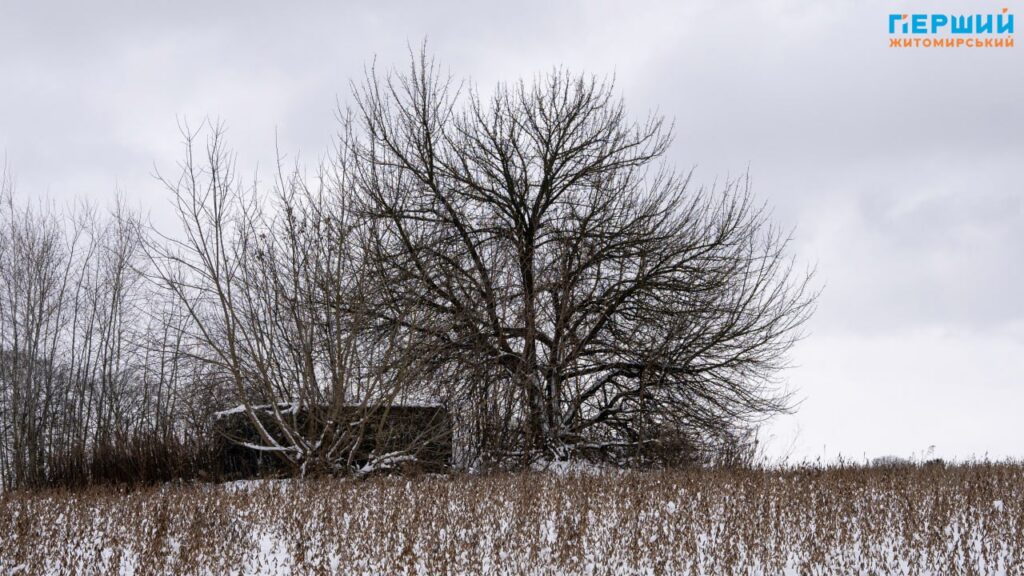 зимові краєвиди