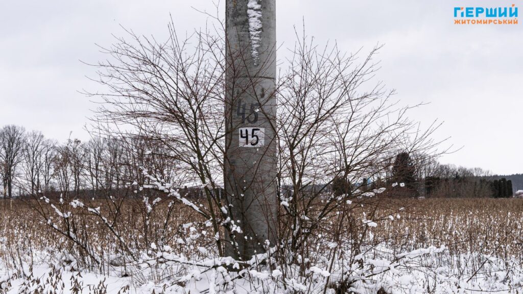 зимові краєвиди