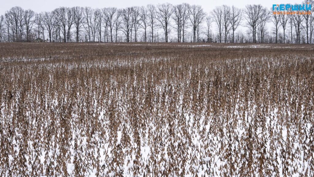 зимові краєвиди